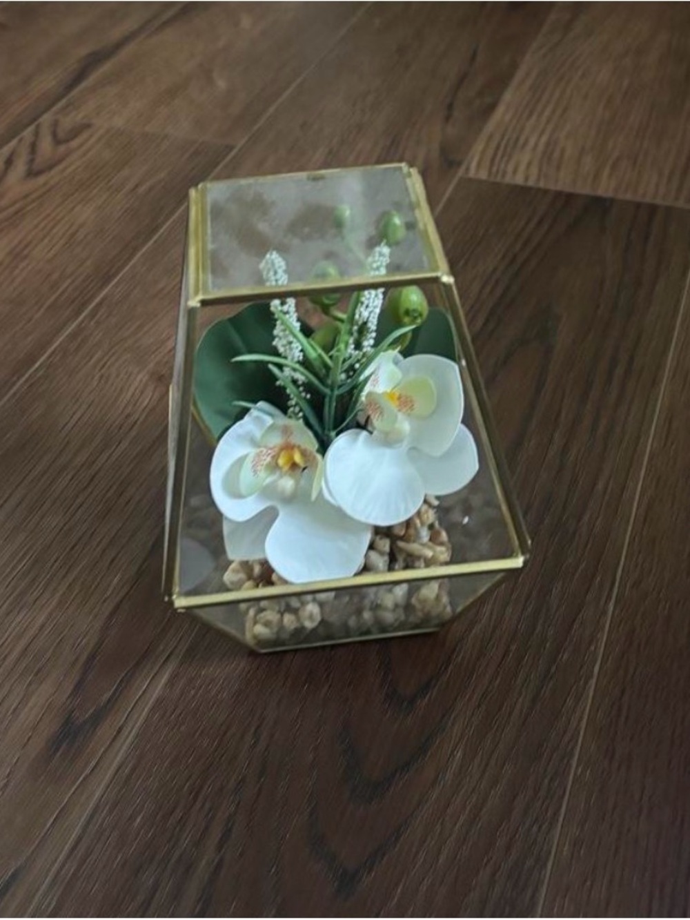 Succulent Decor